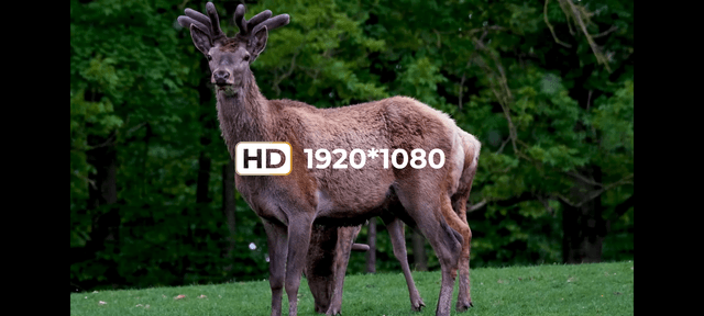 DNT Zulus HD 5-20x